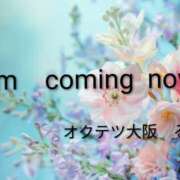ヒメ日記 2026/04/07 12:35 投稿 るり 奥鉄オクテツ大阪