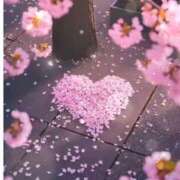 ヒメ日記 2026/04/09 12:35 投稿 るり 奥鉄オクテツ大阪