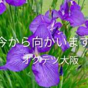 ヒメ日記 2026/05/17 13:30 投稿 るり 奥鉄オクテツ大阪