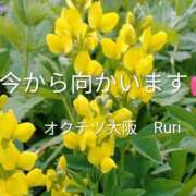 ヒメ日記 2026/05/23 18:30 投稿 るり 奥鉄オクテツ大阪