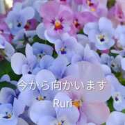 ヒメ日記 2026/09/15 15:30 投稿 るり 奥鉄オクテツ大阪