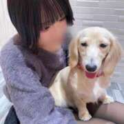 ヒメ日記 2026/03/25 00:30 投稿 みつき イキなり生彼女from大宮