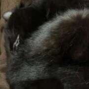 ヒメ日記 2026/03/29 19:50 投稿 みつき イキなり生彼女from大宮