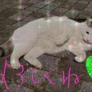 ヒメ日記 2026/03/11 17:08 投稿 井口 渚 熟女パラダイス鶯谷店(カサブランカグループ)