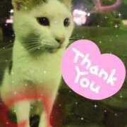 ヒメ日記 2026/03/14 10:50 投稿 井口 渚 熟女パラダイス鶯谷店(カサブランカグループ)