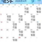 ヒメ日記 2026/03/24 07:32 投稿 ミント 桃李（とうり）