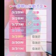 ヒメ日記 2026/03/25 08:42 投稿 ミント 桃李（とうり）