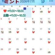 ヒメ日記 2026/07/01 12:03 投稿 ミント 桃李（とうり）