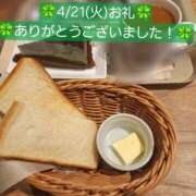 ヒメ日記 2026/04/23 12:03 投稿 冬子 桃李（とうり）