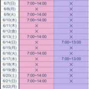 ヒメ日記 2026/05/19 05:42 投稿 冬子 桃李（とうり）