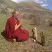 ヒメ日記 2026/03/11 10:32 投稿 金井 桃李（とうり）