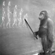 ヒメ日記 2026/03/17 16:42 投稿 金井 桃李（とうり）