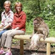 ヒメ日記 2026/03/17 19:22 投稿 金井 桃李（とうり）