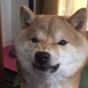 ヒメ日記 2026/03/20 05:02 投稿 金井 桃李（とうり）