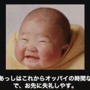 ヒメ日記 2026/03/27 05:35 投稿 金井 桃李（とうり）