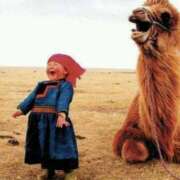 ヒメ日記 2026/04/22 01:32 投稿 金井 桃李（とうり）