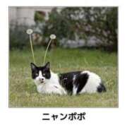 ヒメ日記 2026/04/24 01:32 投稿 金井 桃李（とうり）