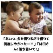 ヒメ日記 2026/04/26 15:19 投稿 金井 桃李（とうり）