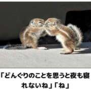 ヒメ日記 2026/06/17 22:02 投稿 金井 桃李（とうり）