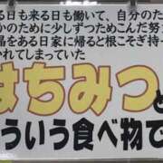 ヒメ日記 2026/07/13 17:02 投稿 金井 桃李（とうり）