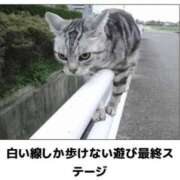 ヒメ日記 2026/09/23 04:32 投稿 金井 桃李（とうり）