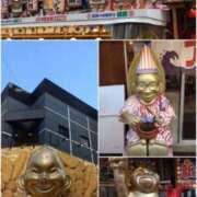 ヒメ日記 2026/09/23 08:52 投稿 金井 桃李（とうり）
