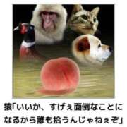 ヒメ日記 2026/09/28 16:12 投稿 金井 桃李（とうり）
