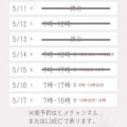 ヒメ日記 2026/05/15 13:23 投稿 いつき 桃李（とうり）