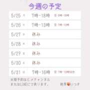 ヒメ日記 2026/05/23 13:02 投稿 いつき 桃李（とうり）