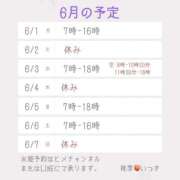 ヒメ日記 2026/05/31 18:02 投稿 いつき 桃李（とうり）