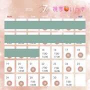 ヒメ日記 2026/07/15 06:42 投稿 いつき 桃李（とうり）