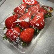 ヒメ日記 2026/03/12 05:22 投稿 しゅう 桃李（とうり）