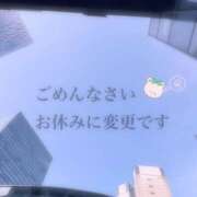 なつ ごめんなさい 桃李（とうり）