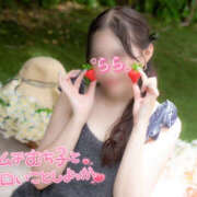 ヒメ日記 2026/03/29 18:02 投稿 らら 桃李（とうり）