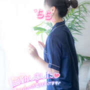 ヒメ日記 2026/03/31 09:02 投稿 らら 桃李（とうり）