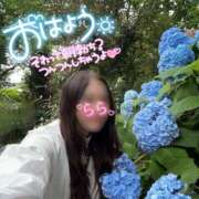 ヒメ日記 2026/04/03 05:32 投稿 らら 桃李（とうり）