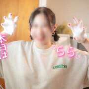 ヒメ日記 2026/04/06 12:12 投稿 らら 桃李（とうり）