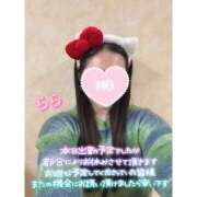 ヒメ日記 2026/04/19 12:03 投稿 らら 桃李（とうり）