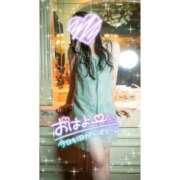 ヒメ日記 2026/04/22 05:02 投稿 らら 桃李（とうり）