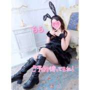 ヒメ日記 2026/04/24 09:02 投稿 らら 桃李（とうり）