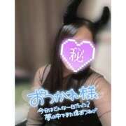 ヒメ日記 2026/04/25 00:02 投稿 らら 桃李（とうり）