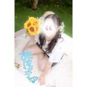 ヒメ日記 2026/04/25 05:03 投稿 らら 桃李（とうり）