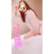 ヒメ日記 2026/04/26 09:02 投稿 らら 桃李（とうり）