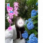 ヒメ日記 2026/06/06 14:32 投稿 らら 桃李（とうり）