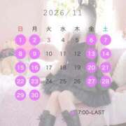 ヒメ日記 2026/10/23 12:32 投稿 らら 桃李（とうり）