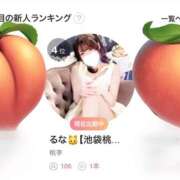 ヒメ日記 2026/03/17 12:03 投稿 るな 桃李（とうり）