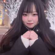 ヒメ日記 2026/03/20 08:56 投稿 にこ 桃李（とうり）