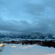 ヒメ日記 2026/03/26 13:22 投稿 にこ 桃李（とうり）