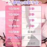 ヒメ日記 2026/10/05 10:02 投稿 まりん 桃李（とうり）