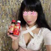 ヒメ日記 2026/03/11 08:12 投稿 あまね 桃李（とうり）